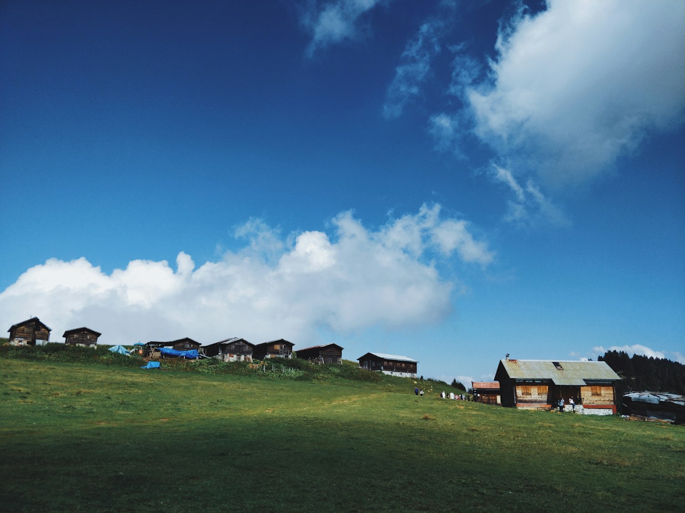 Rize’de yemyeşil bir yayla üzerinde ahşap evler ve bulutlu gökyüzü